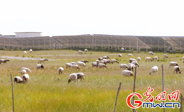【西部开发新脉动】青海海南州：“绿色能源+生态”助力经济发展量质齐升